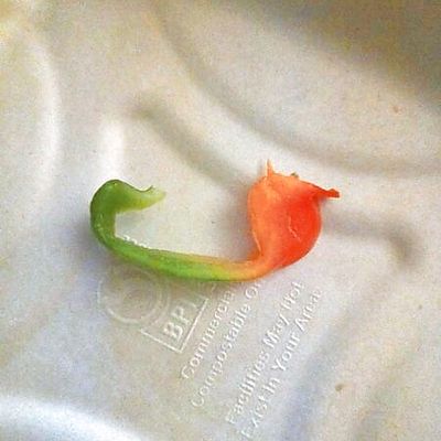 green and red pepper