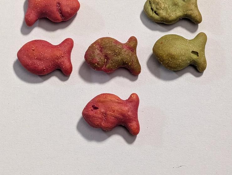 Six goldfish positioned with red ones on the left and green ones on the right. In the middle there's uhh... I don't know what to tell you, it's kind of both green and red.