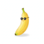 icon of Nano Editor