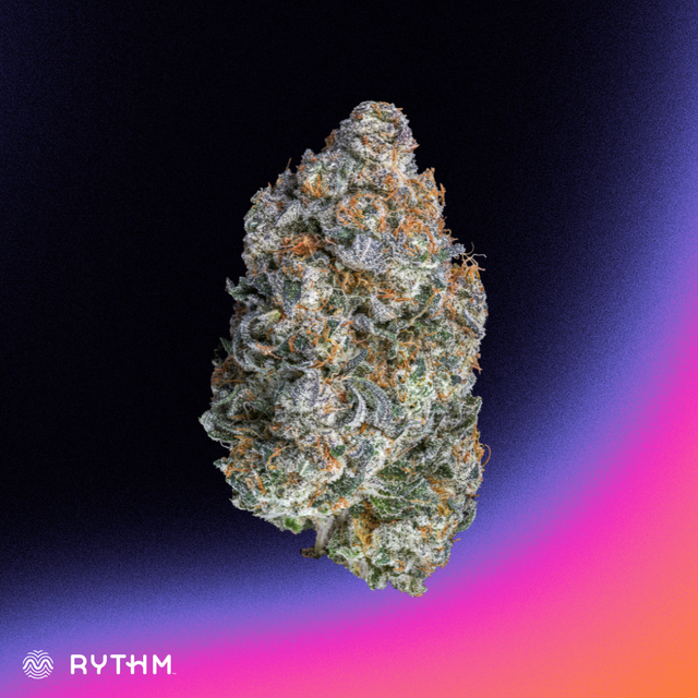 Rose Gold Runtz harvested flower, as labeled by the cited photo source