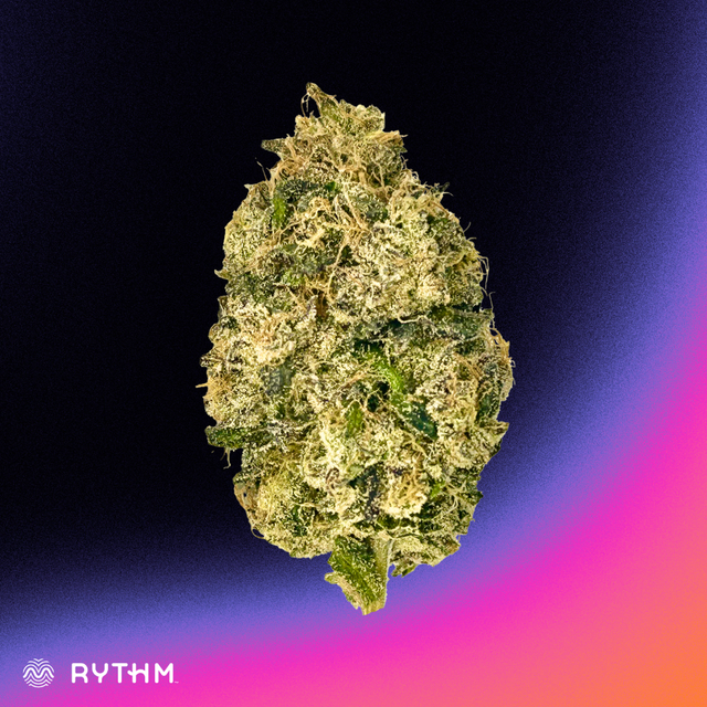 Runtz S1 harvested flower, as labeled by the cited photo source