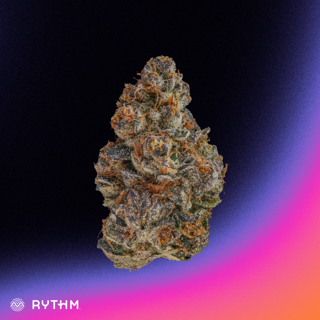 Donut Trip harvested flower, as labeled by the cited photo source