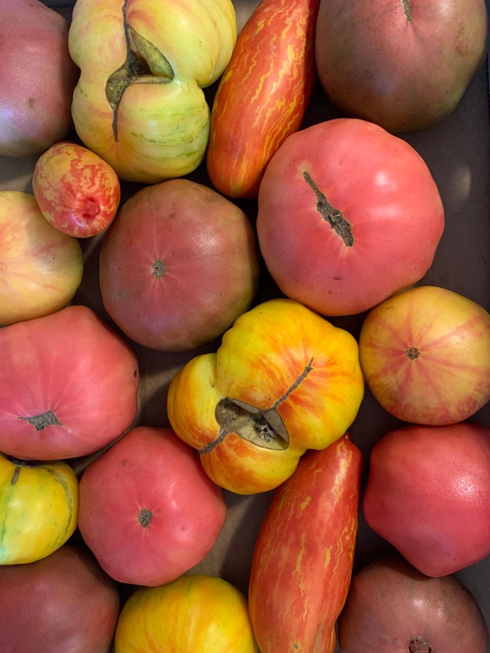 Tomato Jam
