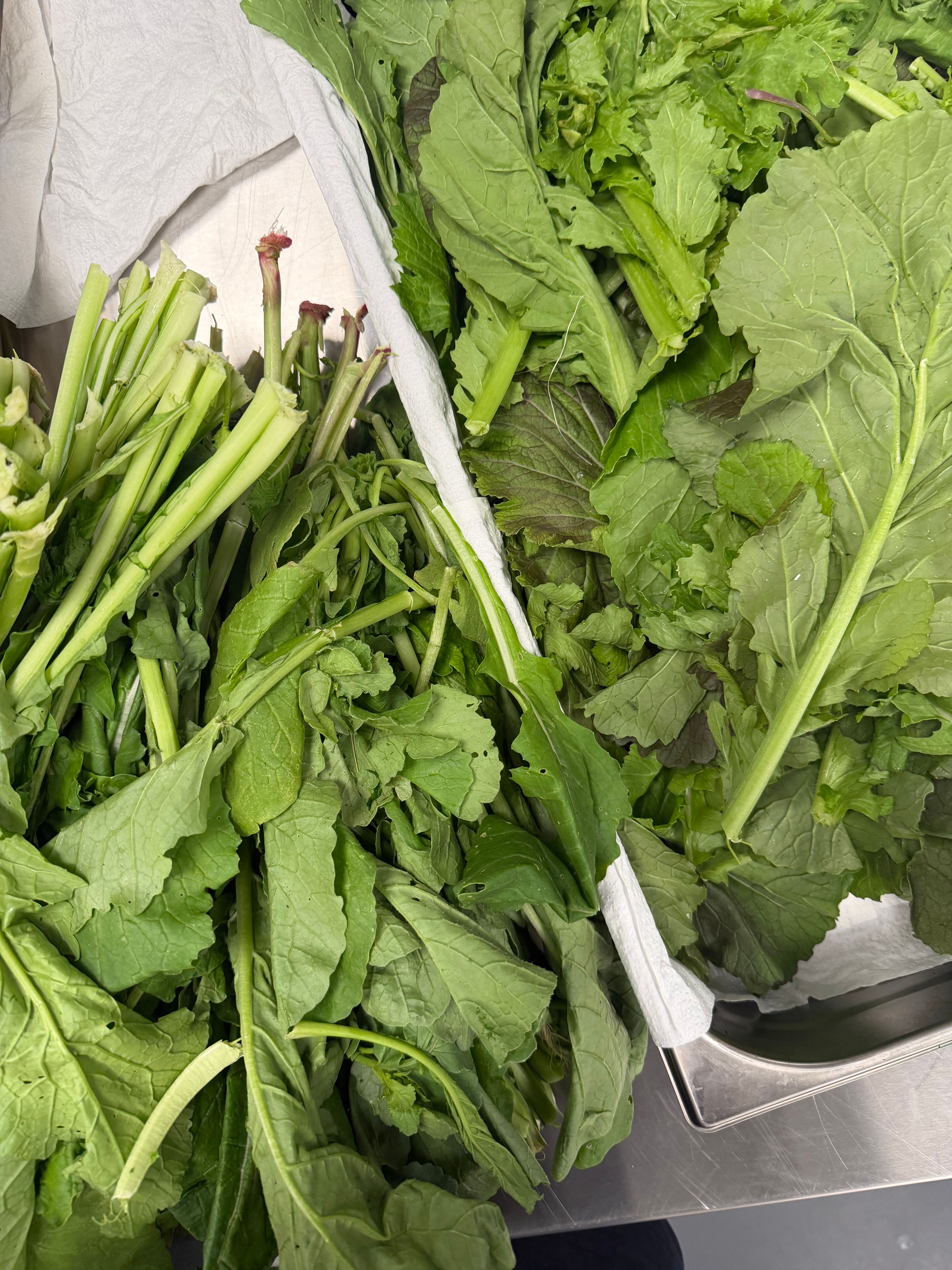 Kimchi - Early Spring