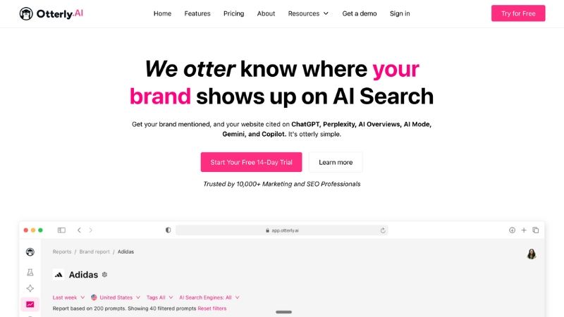 Otterly AI showing daily AI visibility analytics, citation and source analysis, and competitor monitoring across ChatGPT and Google AI features