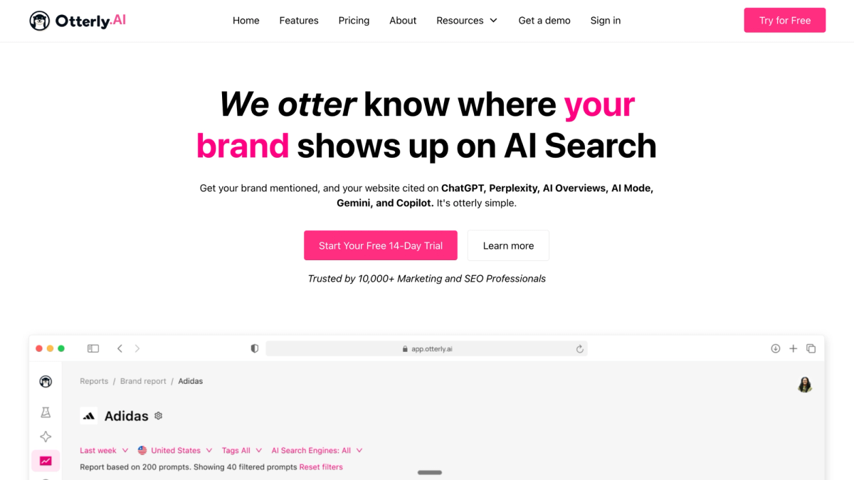 Screenshot of Otterly AI highlighting unlimited team seats for agencies and marketing teams.