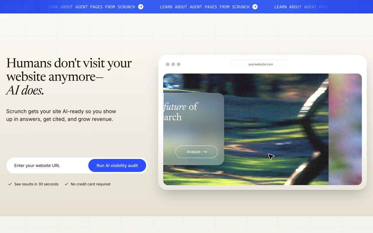 Scrunch homepage