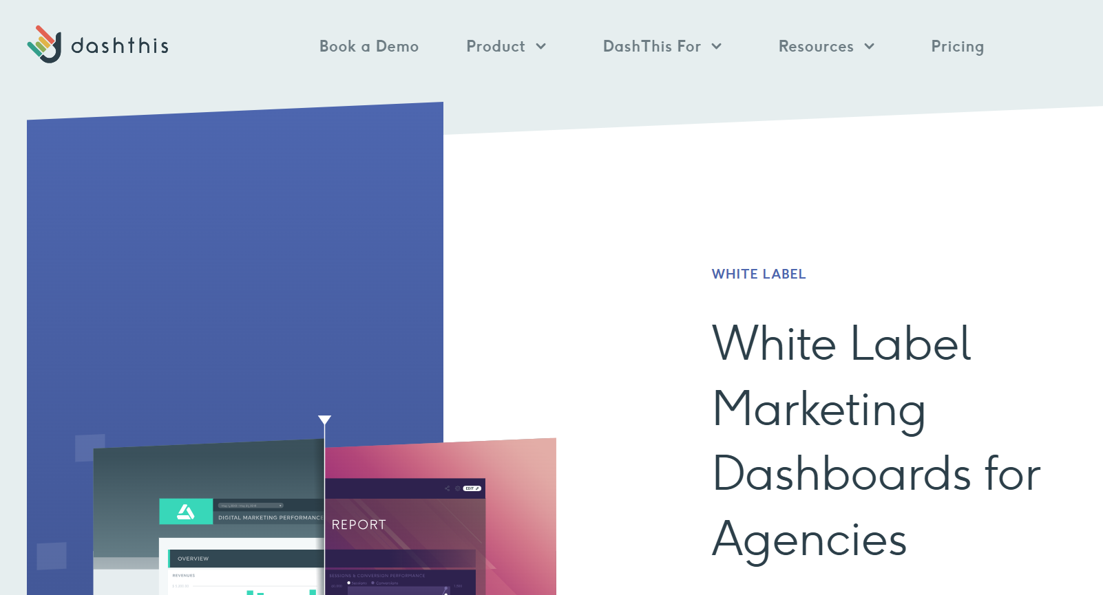 DashThis for White Label SEO Marketing Agencies 