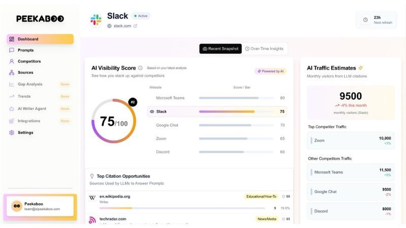 Screenshot of Peekaboo AI monitoring tool