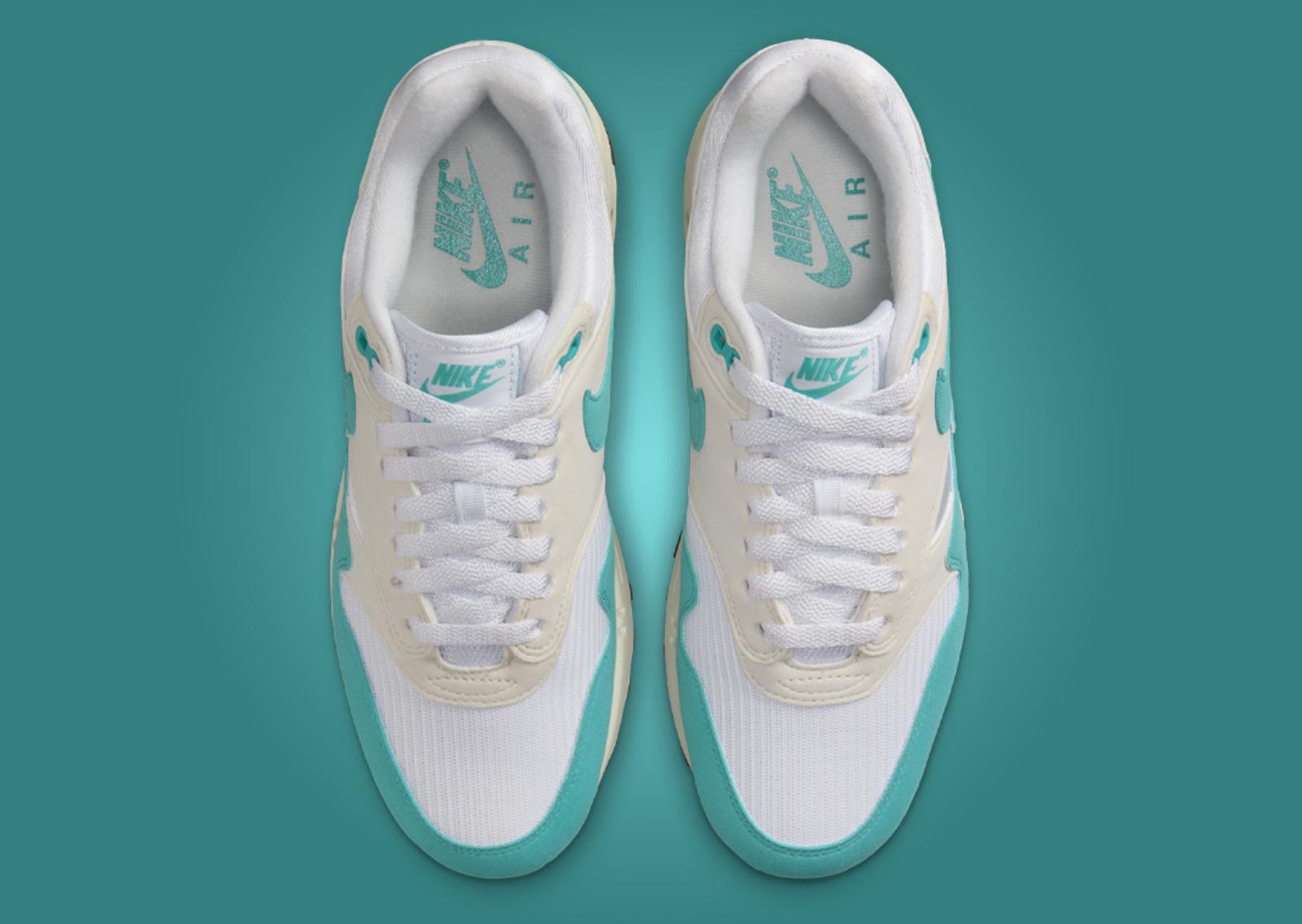 Nike Air Max 1 Dusty Cactus (W) Top