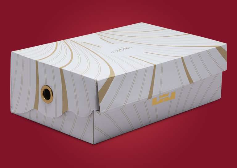 Nike LeBron 21 Devotion Packaging