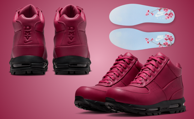 Nike Air Max Goadome DMV