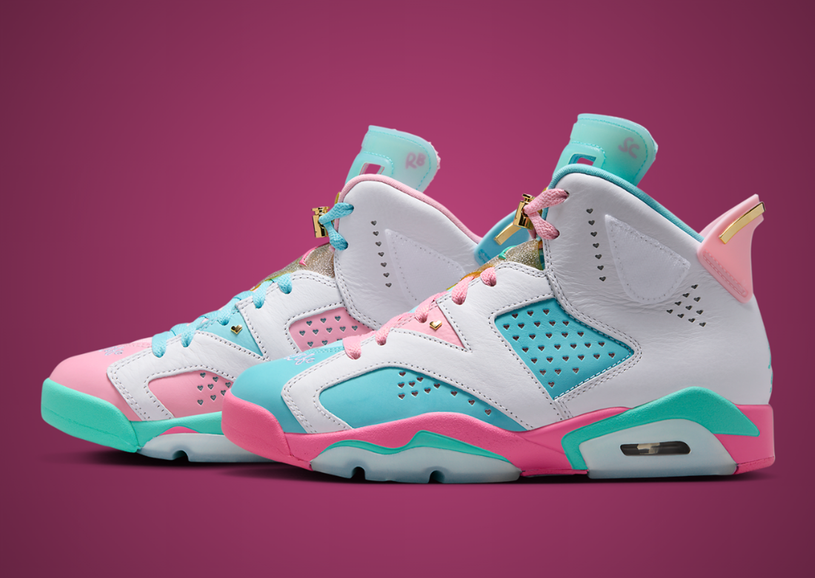 Jillian Beagley x Air Jordan 6 Retro DB Lateral