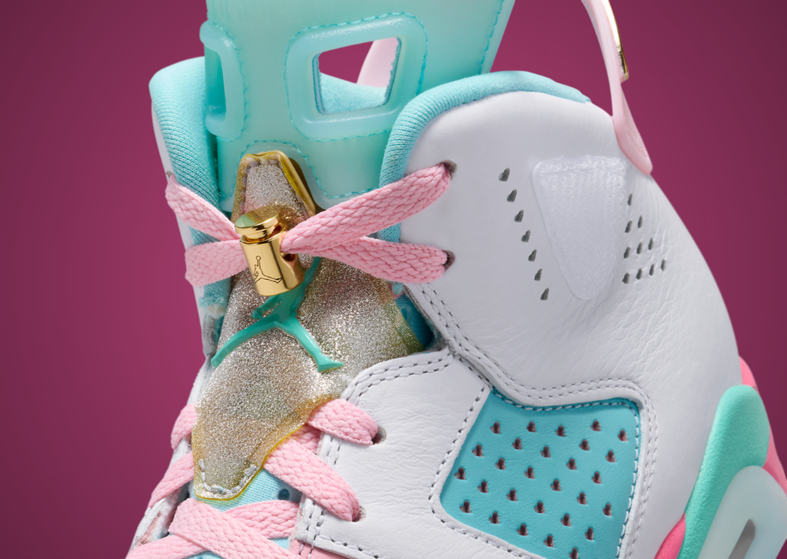 Jillian Beagley x Air Jordan 6 Retro DB Detail