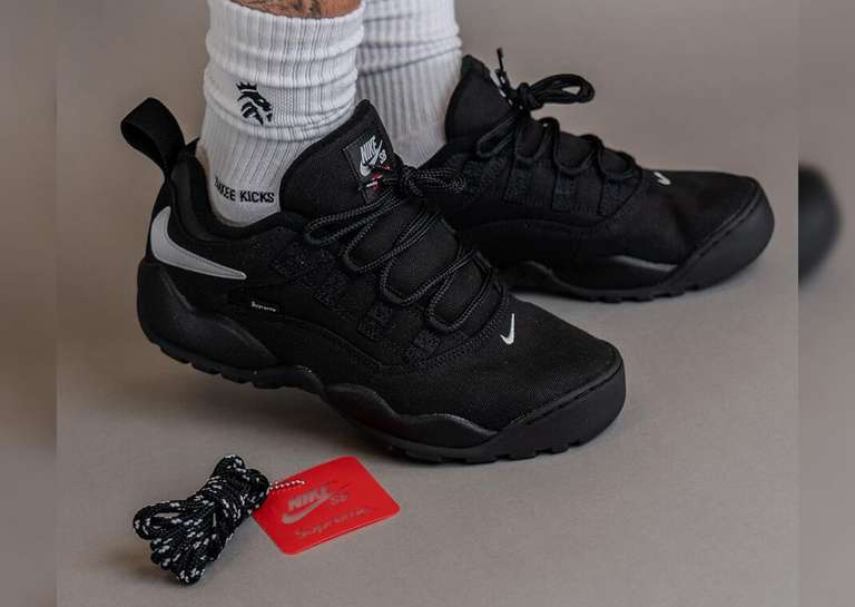Supreme x Nike SB Darwin Low Black Angle