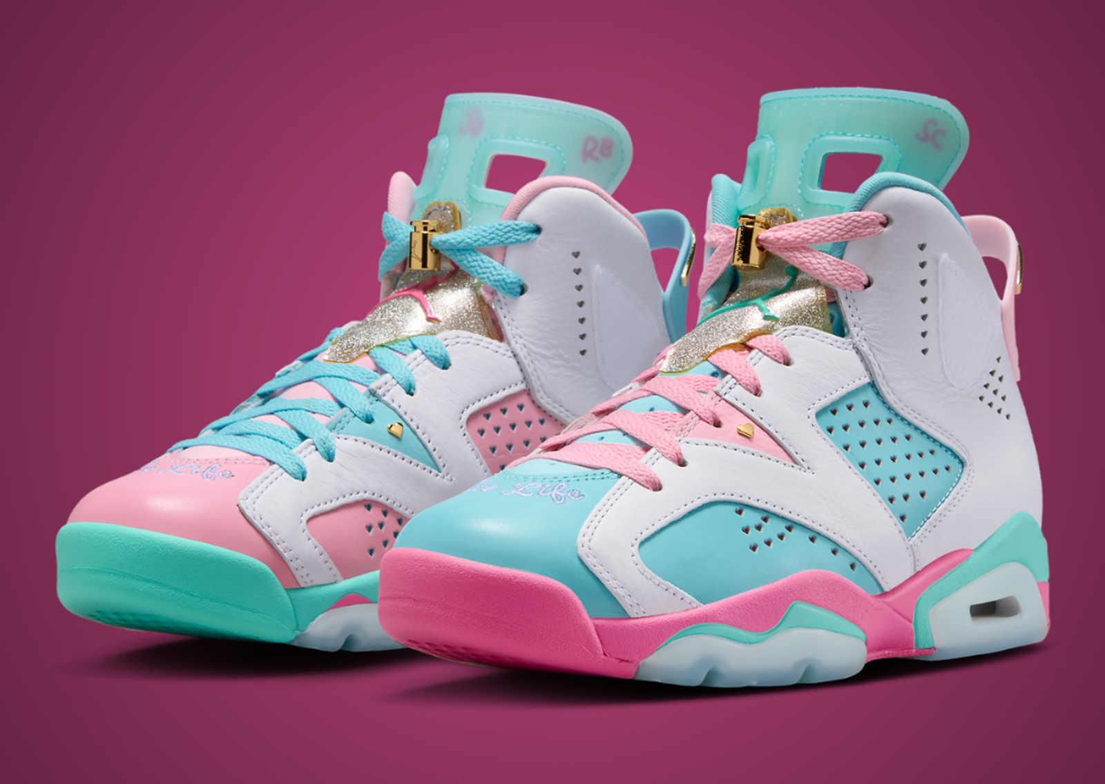 Jillian Beagley x Air Jordan 6 Retro DB Angle