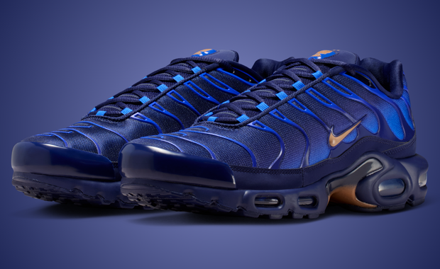 Nike Air Max Plus French Football Federation