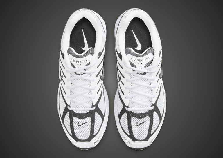 Nike Air Pegasus 2K5 White Black Top