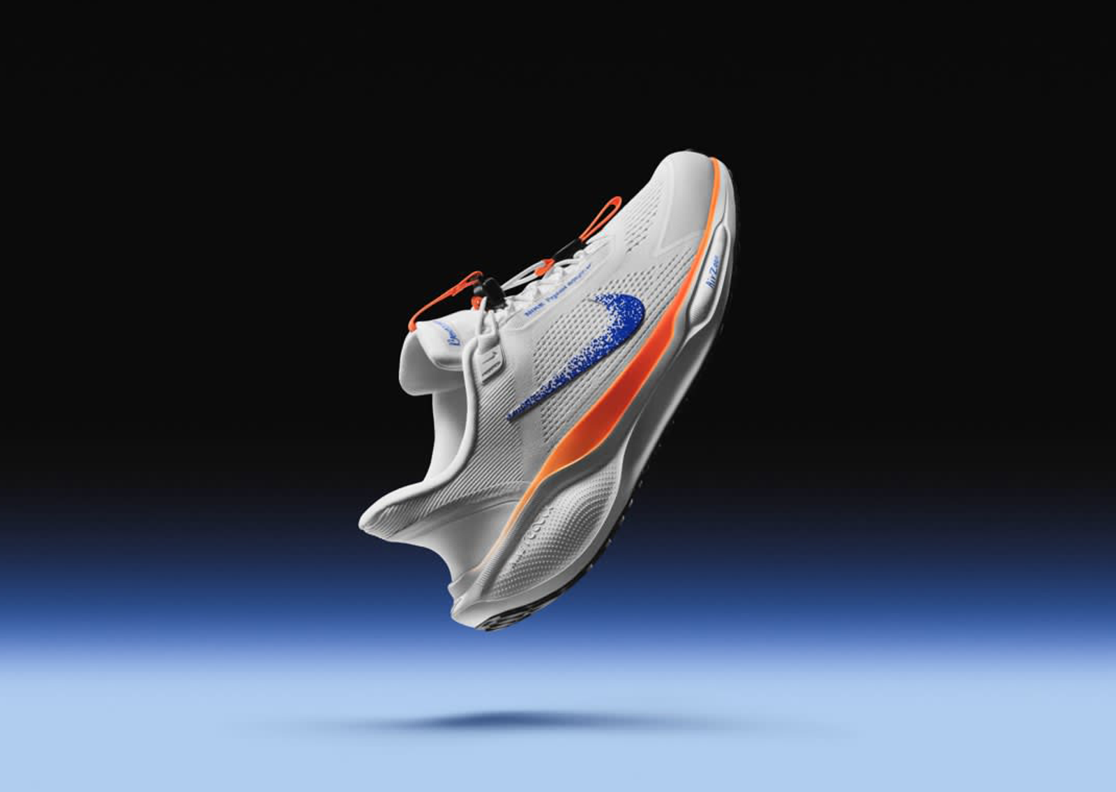 Nike Pegasus EasyOn FP Blueprint Angle