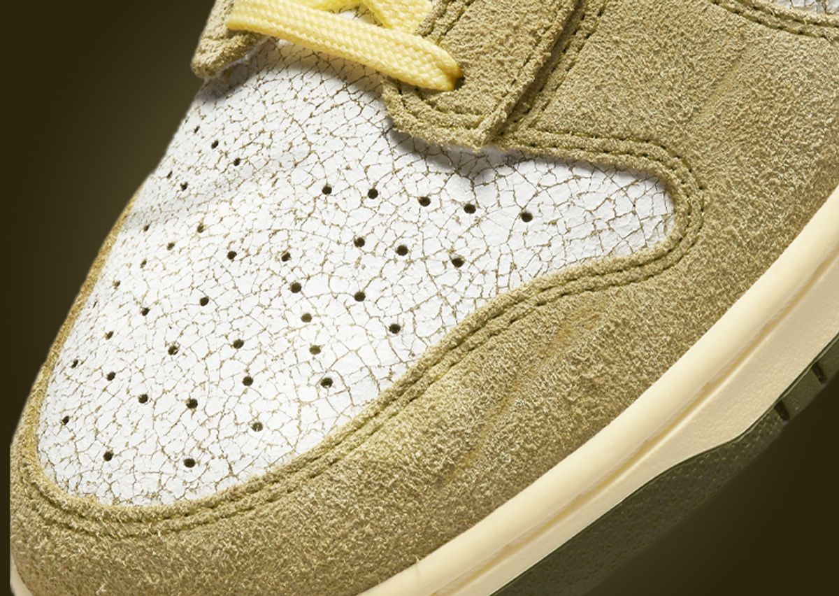 Premium Materials Cover The Nike Dunk High Re-Raw