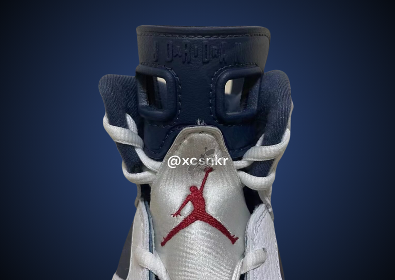 Air Jordan 6 Retro Olympic Tongue