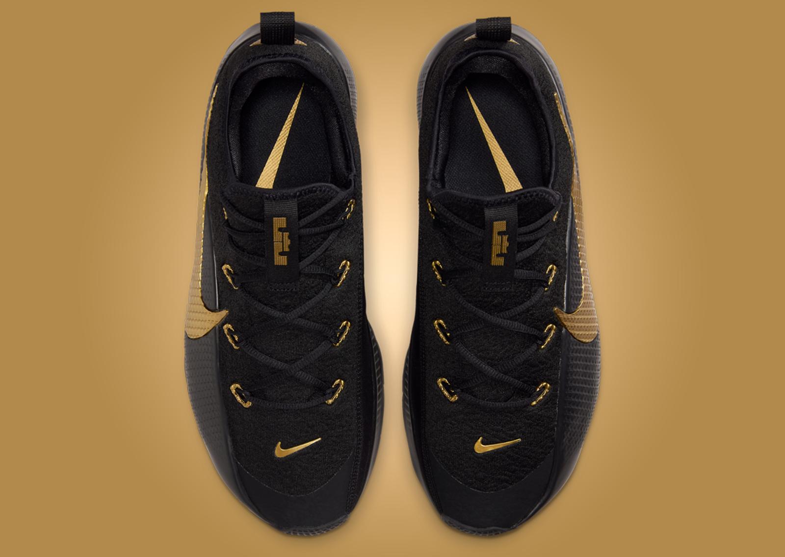 Nike LeBron TR 1 Black Gold Top