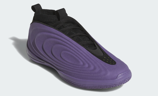 adidas Harden Vol. 10 Purple