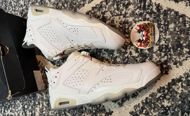 Air Jordan 6 Retro Low OVO