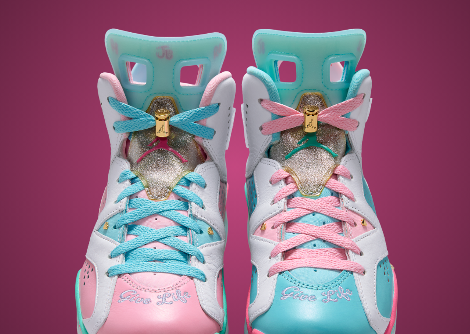 Jillian Beagley x Air Jordan 6 Retro DB Tongue