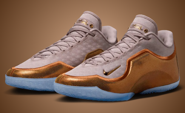 lebron james family guy shoes