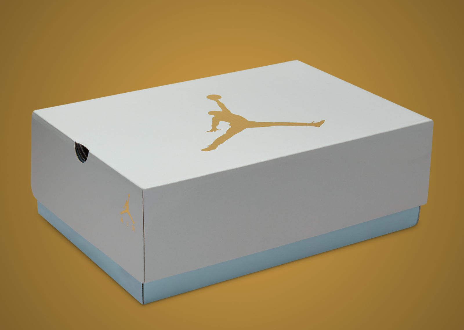 Air Jordan 6 Retro Craft Paris (W) Box