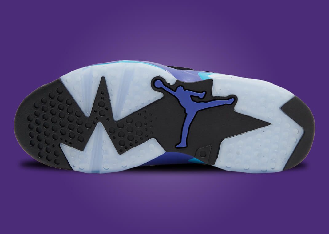 purple and blue jordan 6