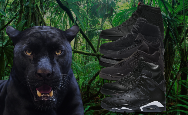 Air Jordan 4 Retro Black Cat (2006) - 308497-002 Raffles