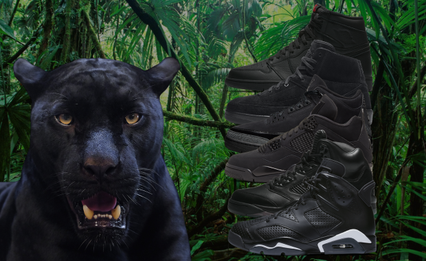 History of Black Cat Air Jordan Sneakers