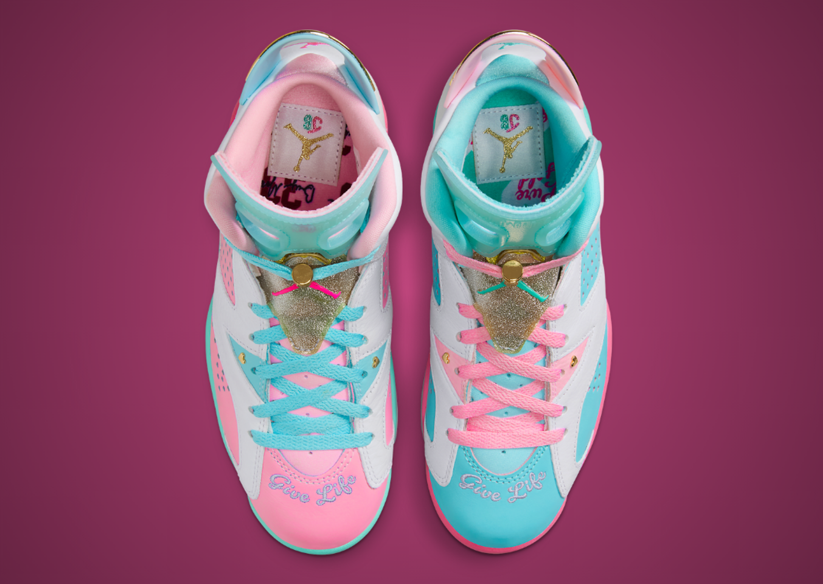 Jillian Beagley x Air Jordan 6 Retro DB Top