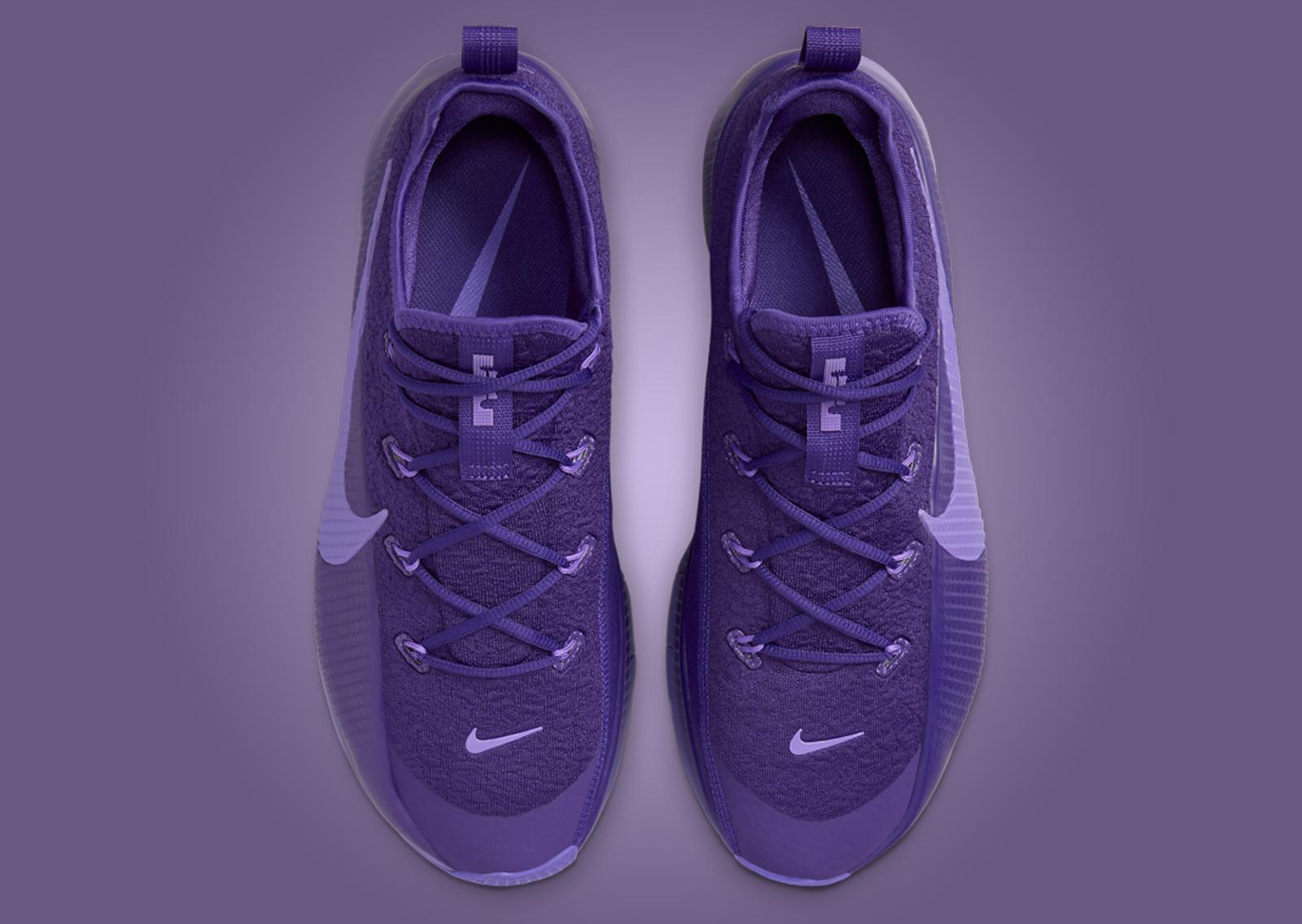 Nike LeBron TR1 Purple Rain Top