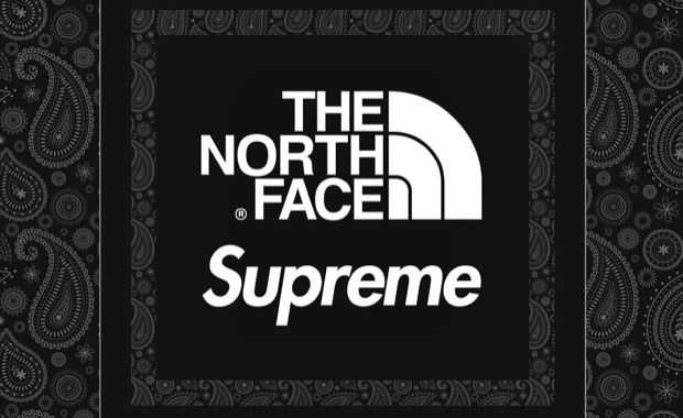 The north face outlet supreme logo