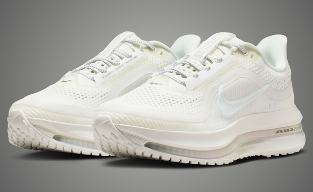 Nike Pegasus Premium Summit White (W)