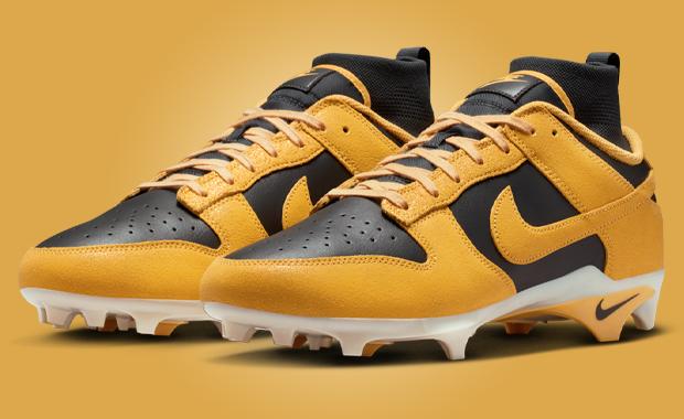 Nike Alpha Menace Dunk SE Iowa