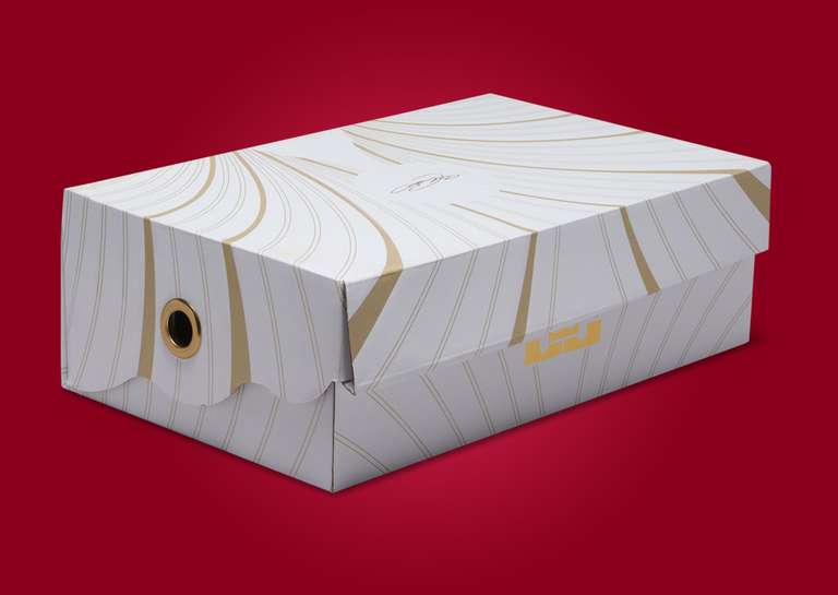 Nike LeBron 21 James Theater (GS) Packaging 1