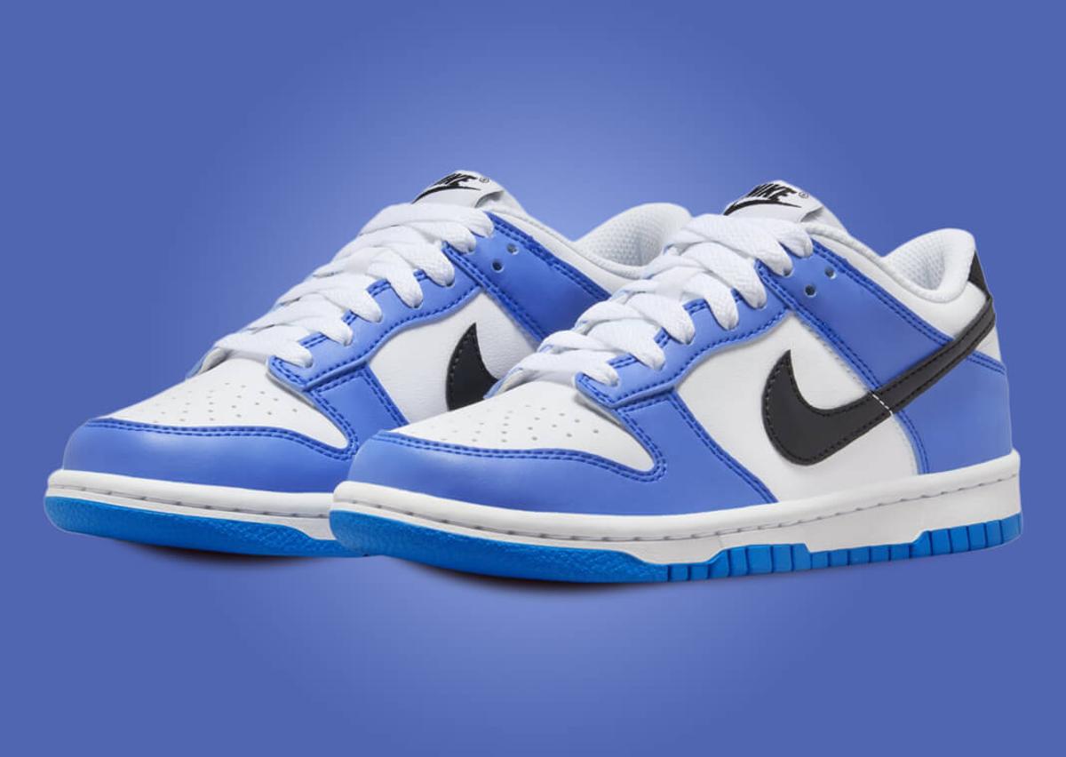 Nike Dunk Low Retro trainers in white and blue