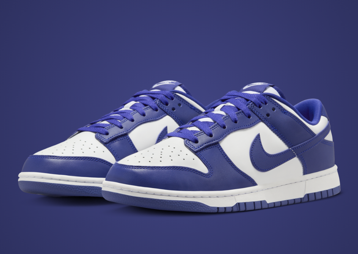 Nike Dunk Low White Concord Angle