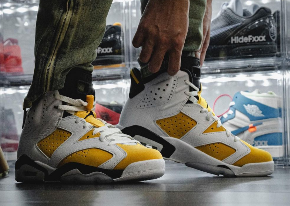 Air jordan 6 2025 trail blazers release date