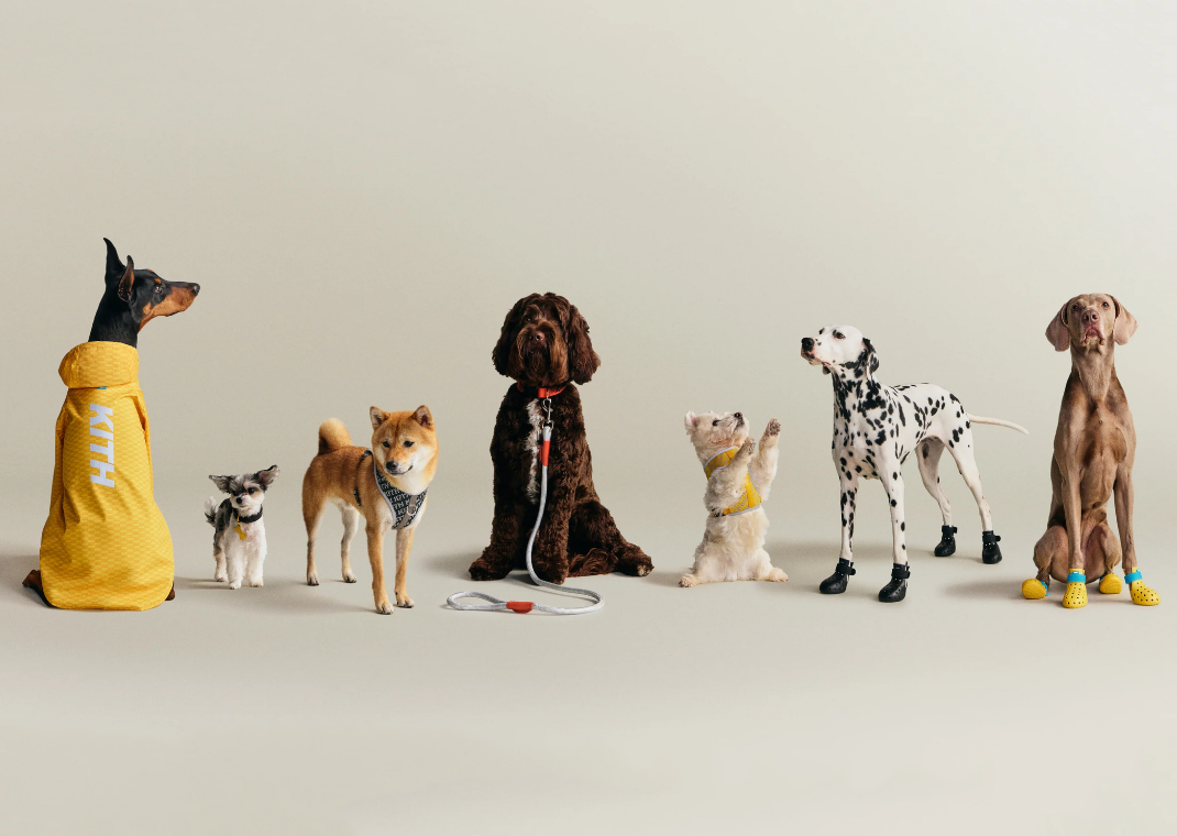 犬服・アクセサリー Kith for wagwear Nylon Rainbreaker Kith | Kith for wagwear Our first-ever pet collection is created