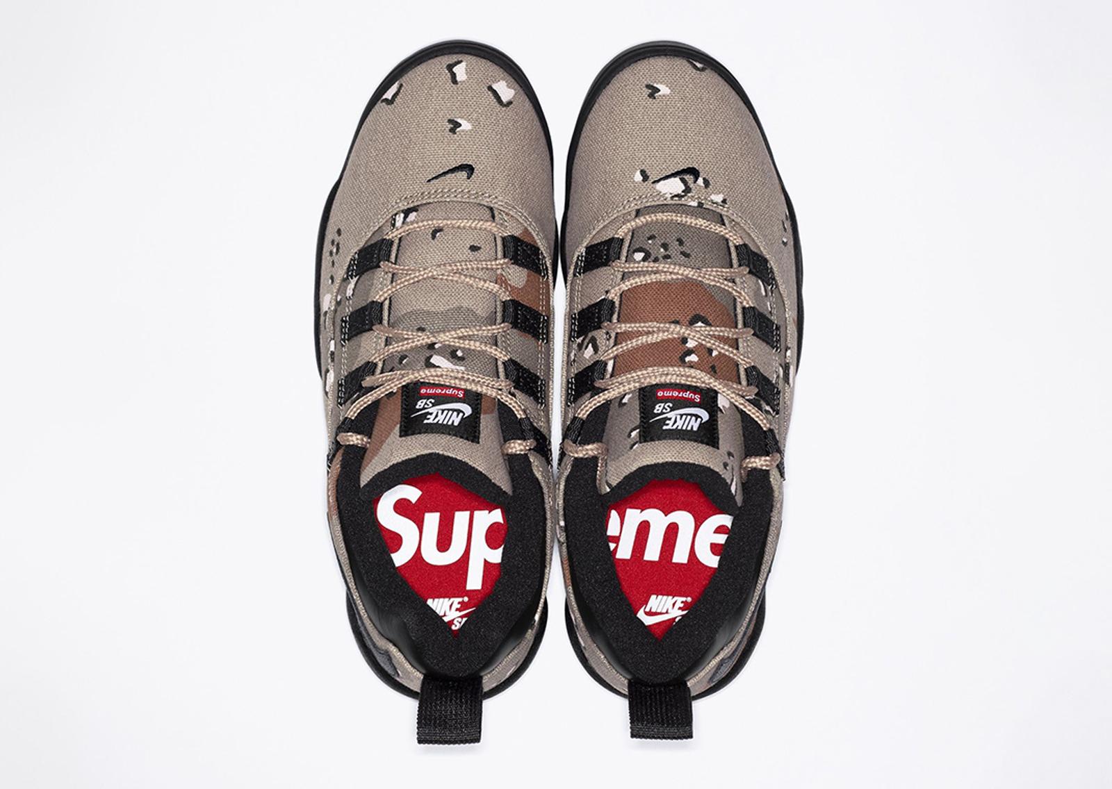 Supreme x Nike SB Darwin Low Khaki Top