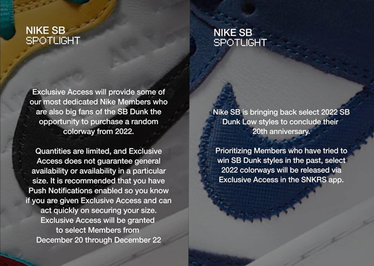 Nike's Words Regarding EA For Select 2022 Nike SB Dunk Low Styles 