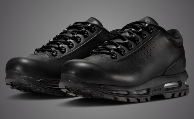 Nike Air Max Goadome Low Black