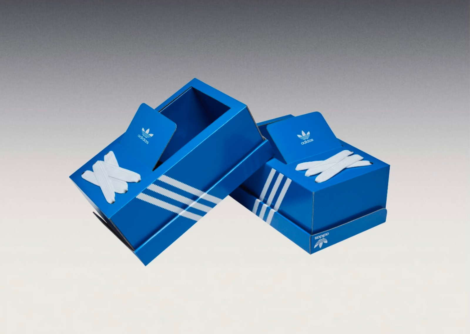 adidas The Box Shoe Angle