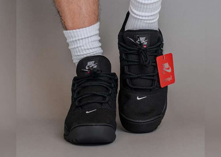 Supreme x Nike SB Darwin Low Black Toe