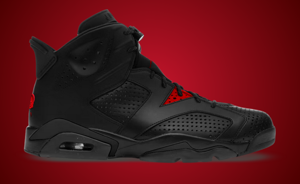 Air Jordan 6 Retro PRM Bin23